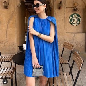 Zara Pleated Cape Dress